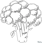 ka broccoli Nā ʻaoʻao Kala Hiki Ke Paʻi ʻia